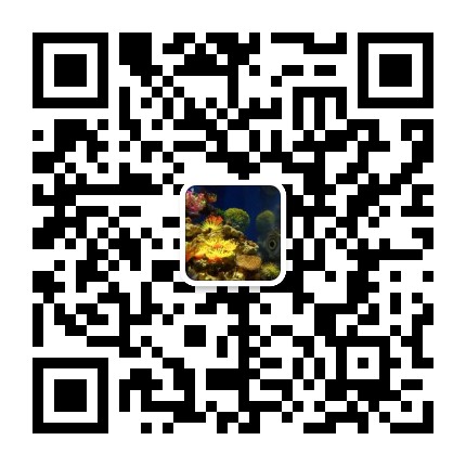 品牌抖音運營技巧--品牌抖音號如何運營(圖2)
